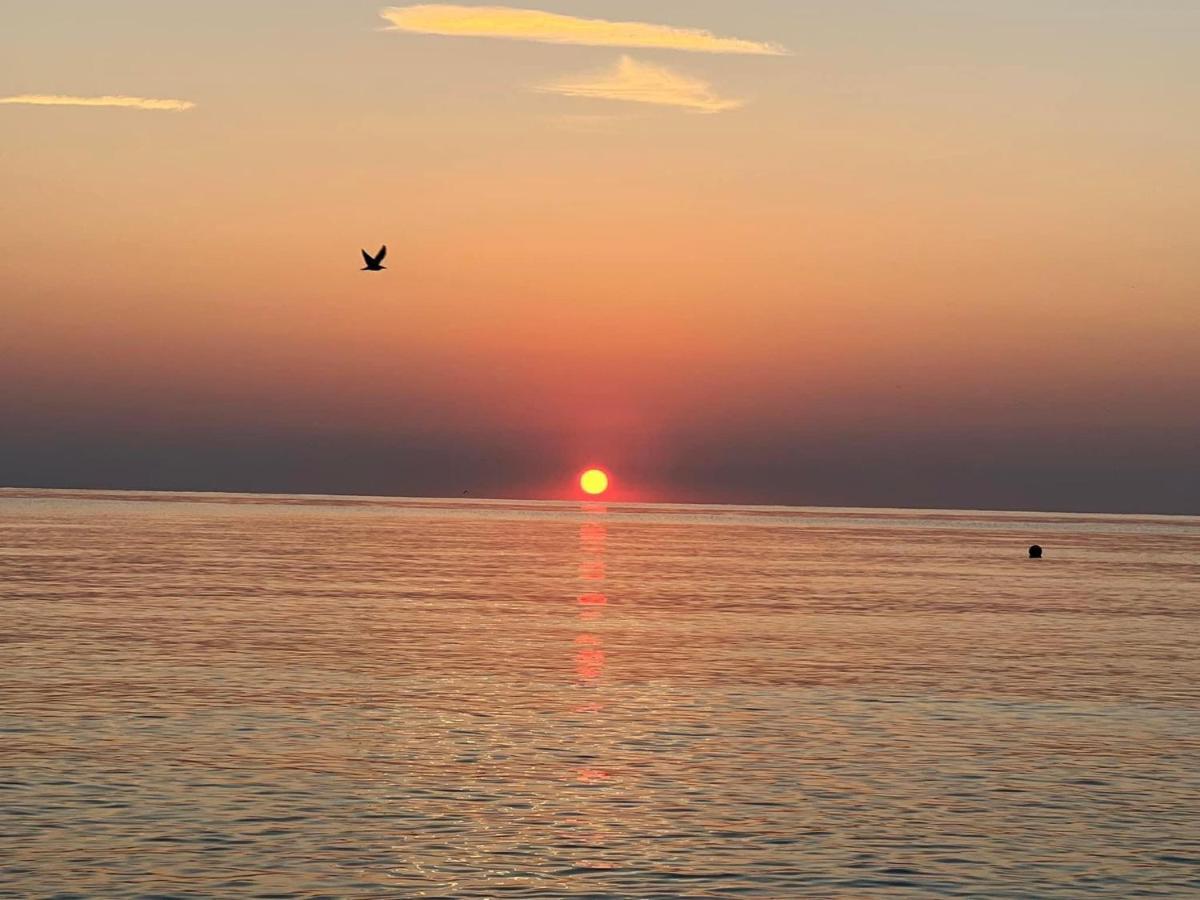 Complex Relax Pomorie All Inclusive מראה חיצוני תמונה